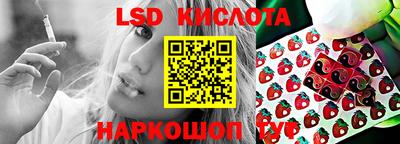 гашик Донской