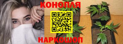 гашик Донской